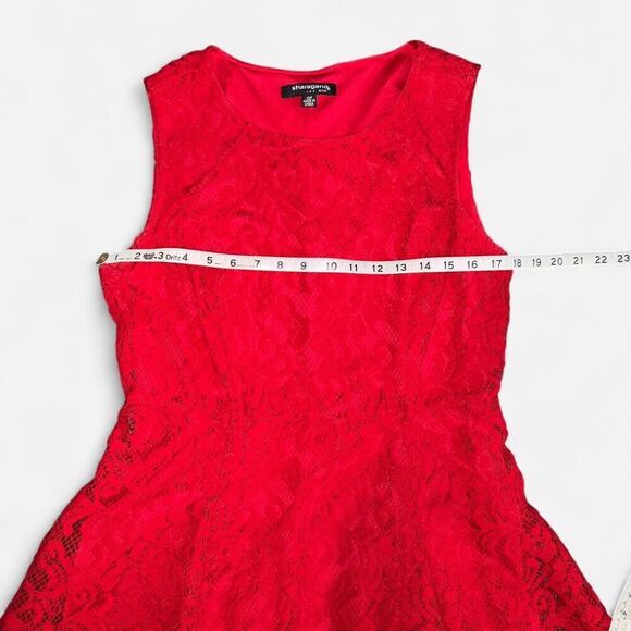 Red Lace A-Line / Skater Dress (Size 10 Petite) - Perfect Valentine’s Day Dress! - Picture 8 of 10